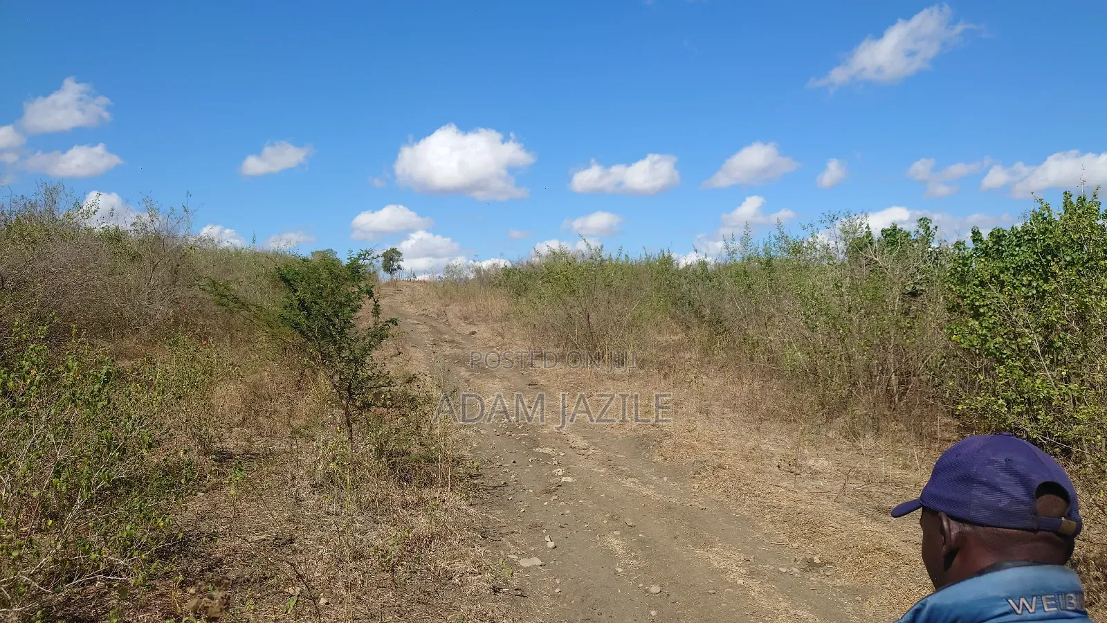 Shama La Ekari 20 Linauzwa Bagamoyo