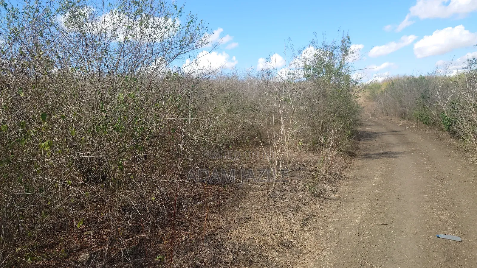 Shama La Ekari 20 Linauzwa Bagamoyo
