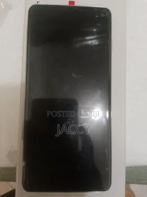 Samsung S10 Plain