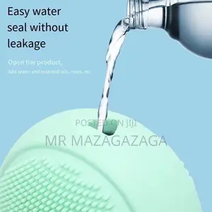 Face Ice Roller