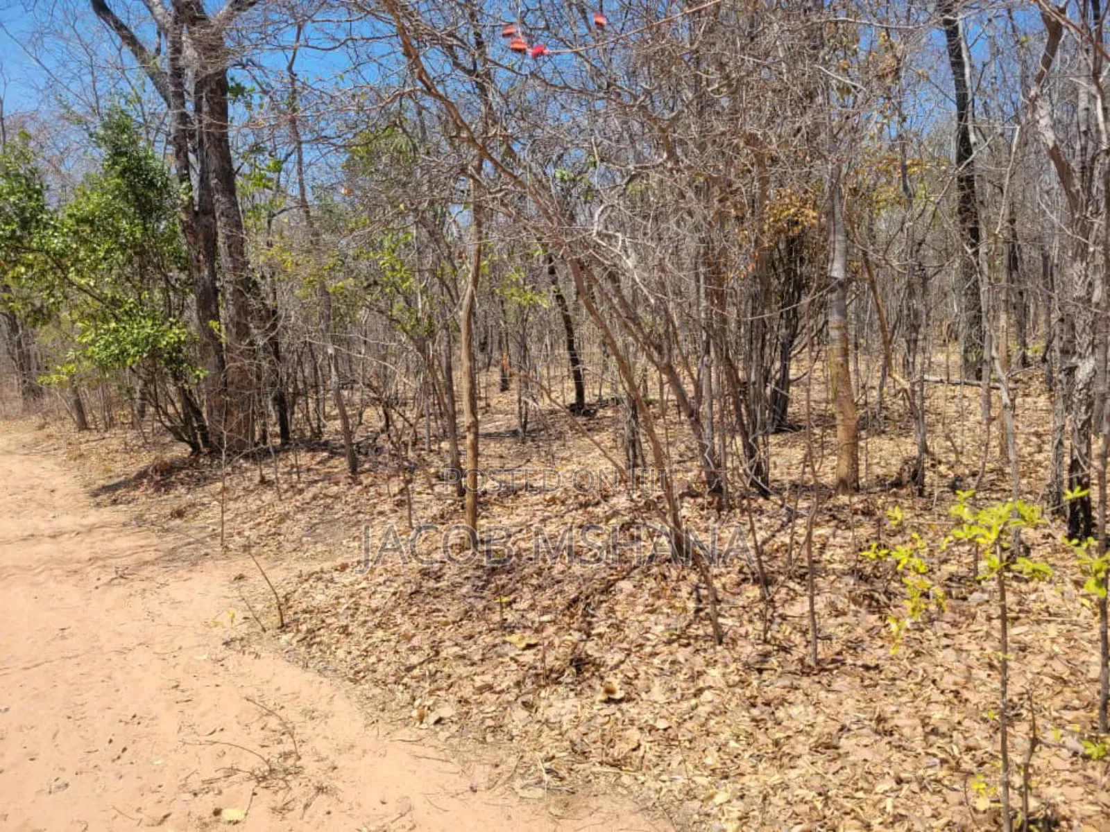 Shamba Linauzwa