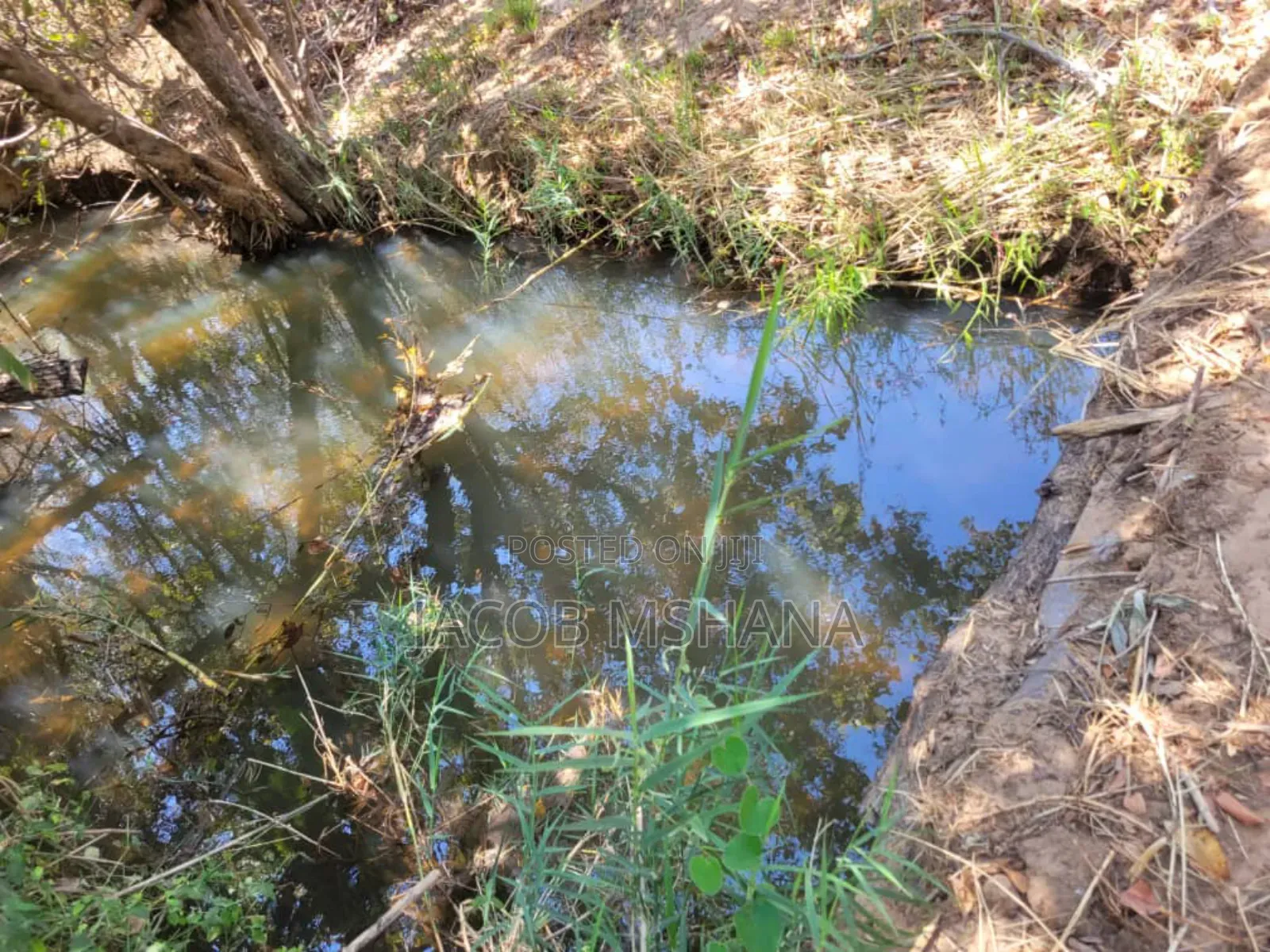 Shamba Linauzwa