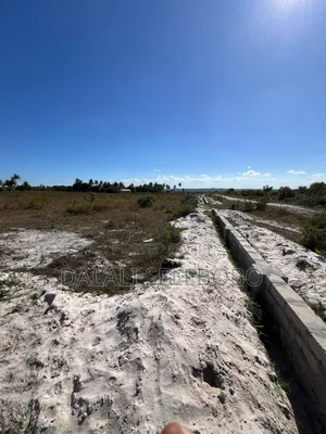 5hector at Kigamboni Kisarawe