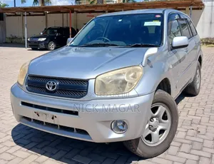 Toyota RAV4 2004 Silver
