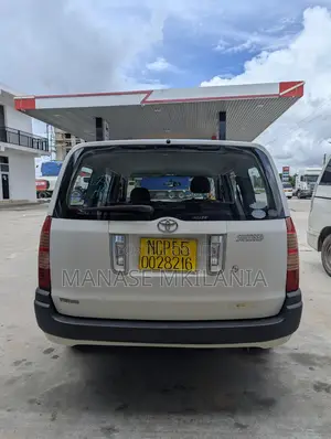 Toyota Succeed 2006 Pearl