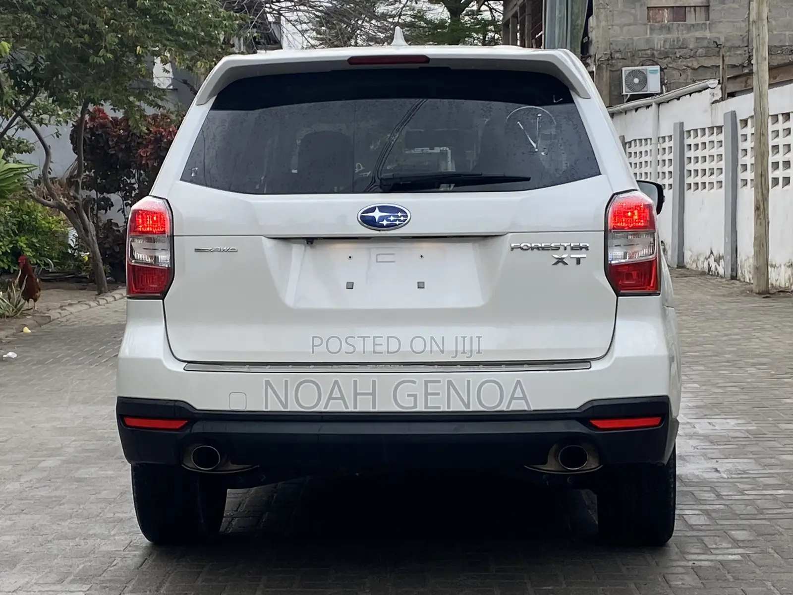 Subaru Forester 2.0XT Premium 4dr SUV AWD (2.0L 4cyl Turbo CVT) 2015 White
