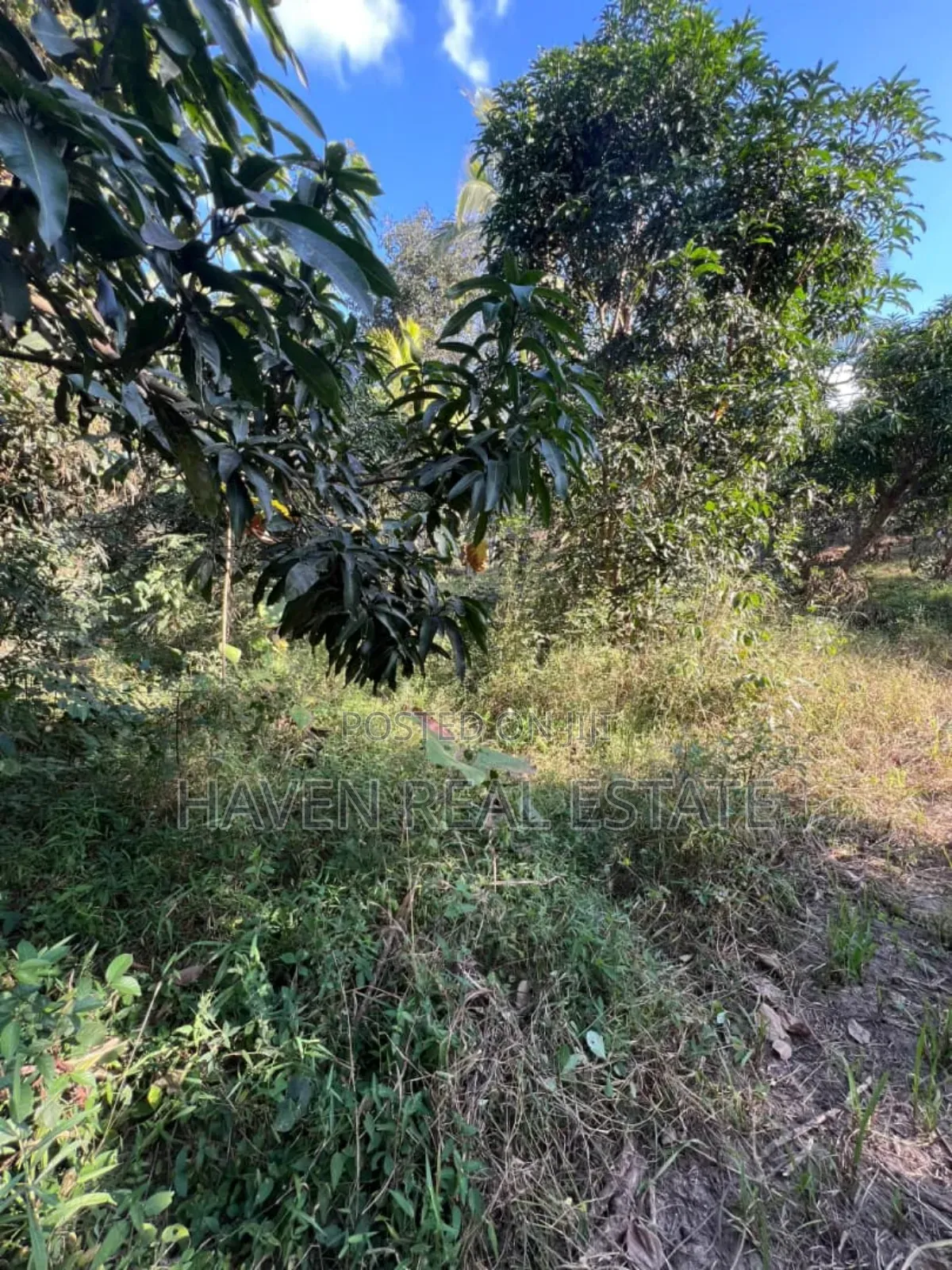 Kiwanja Kinauzwa Kiluvya Magogoni