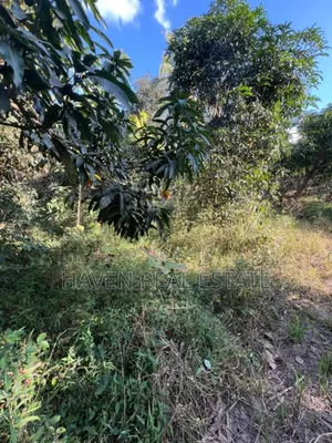 Kiwanja Kinauzwa Kiluvya Magogoni