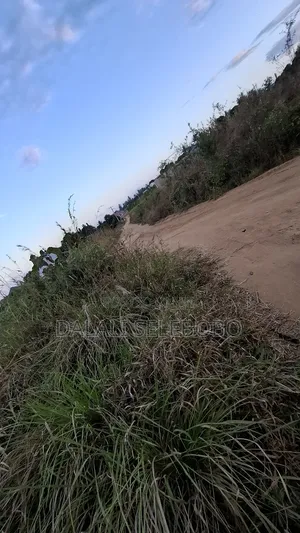 1hector at Vikawe Very Potential Area