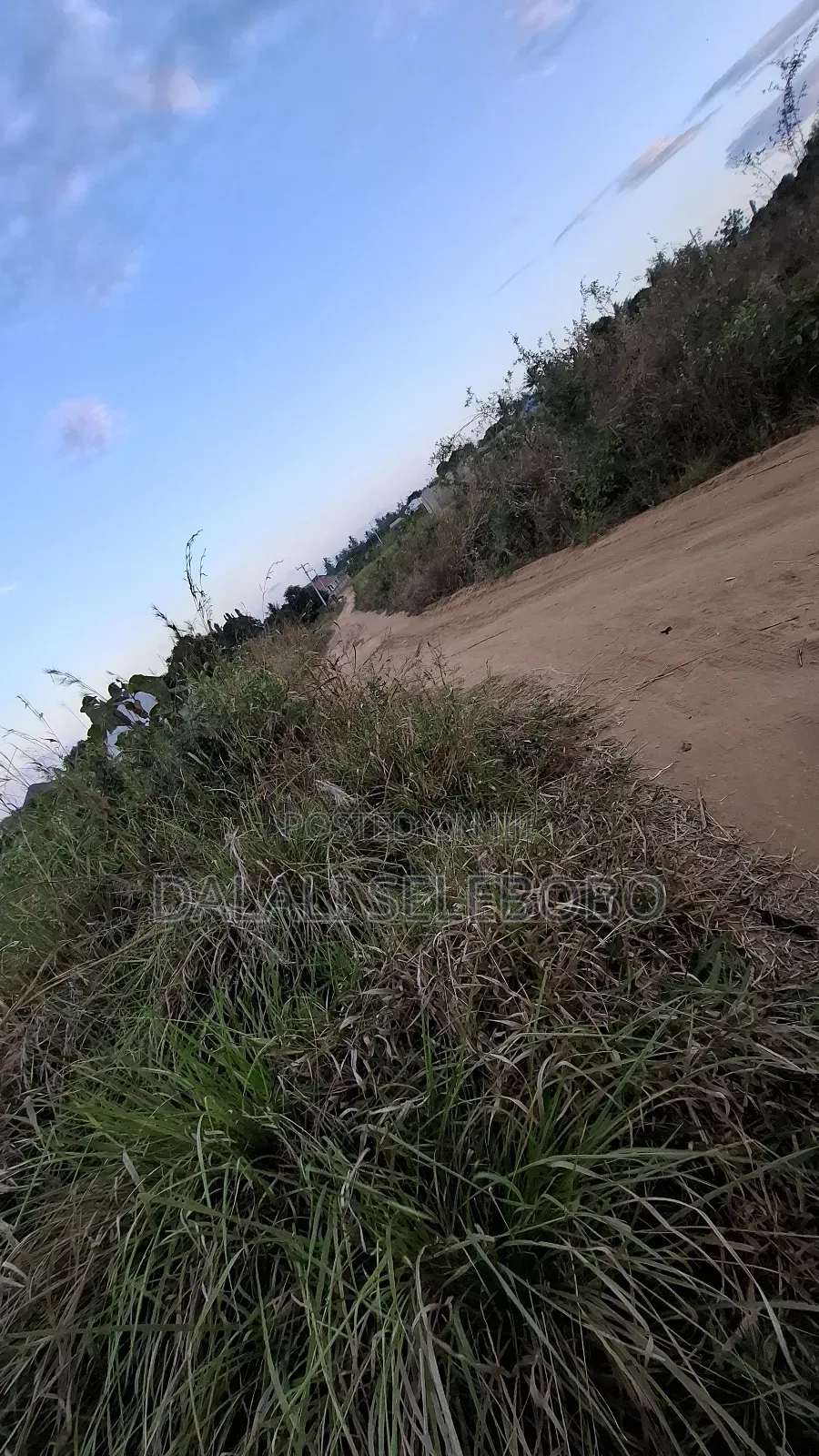 1hector at Vikawe Very Potential Area