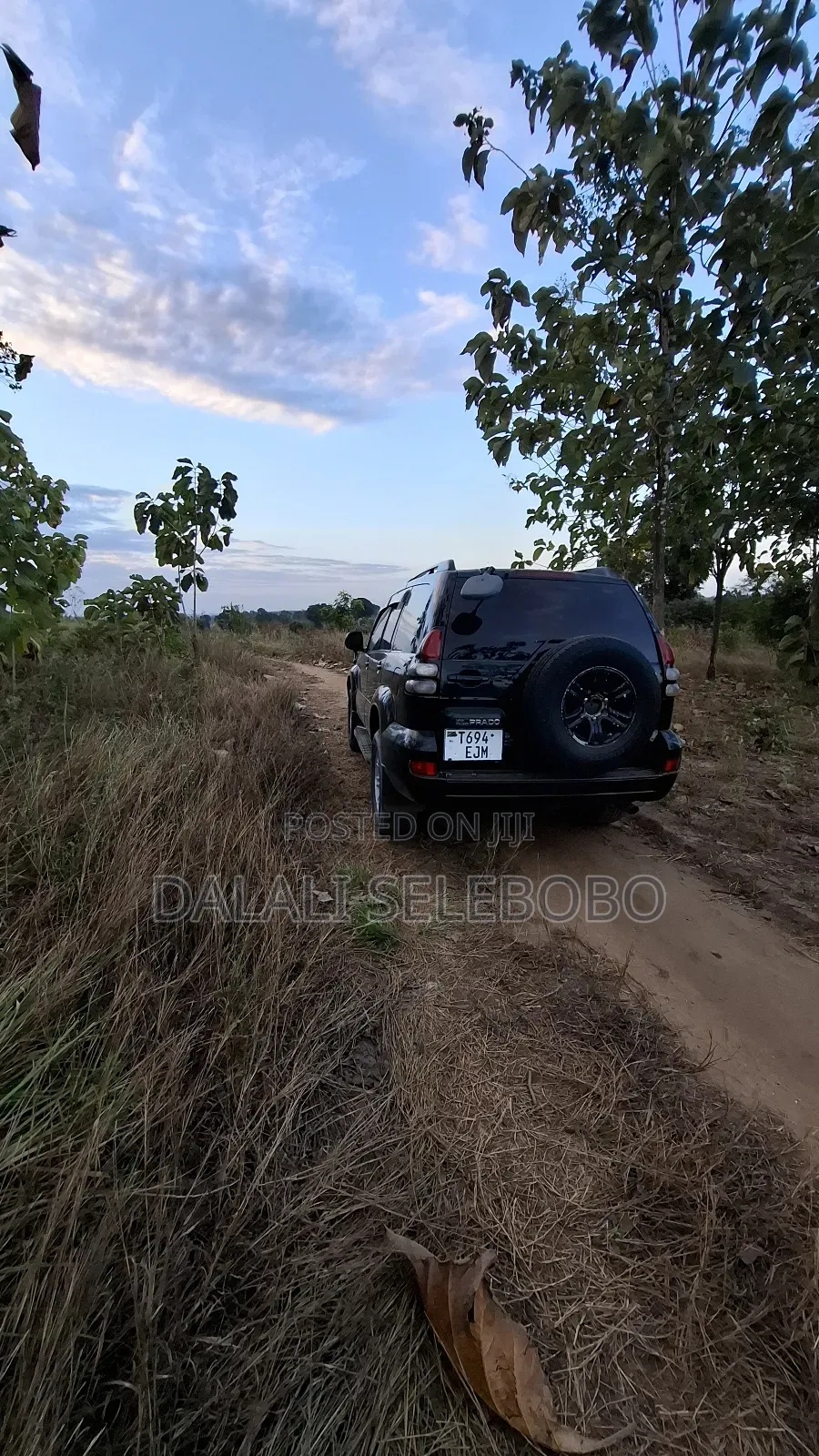 1hector at Vikawe Very Potential Area