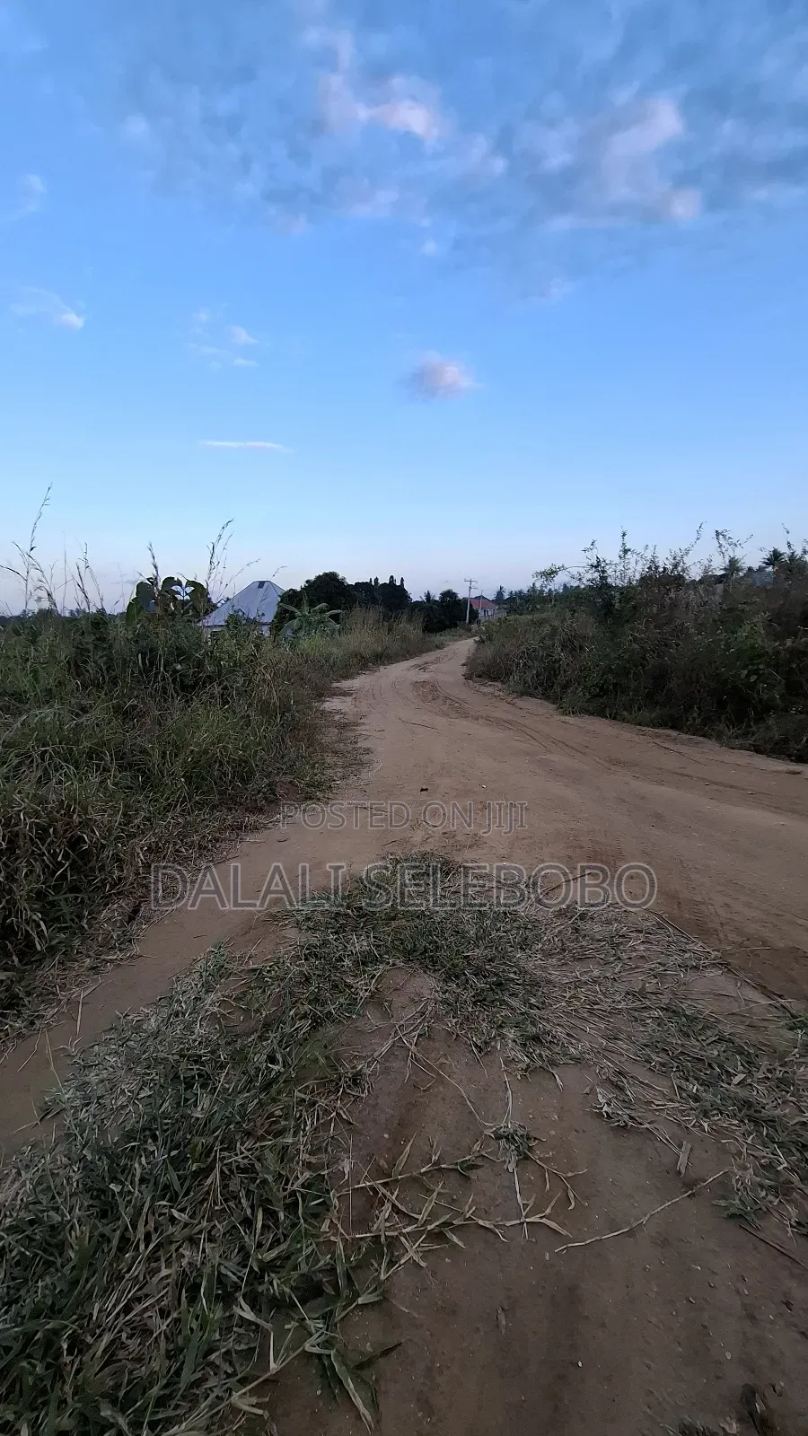 1hector at Vikawe Very Potential Area
