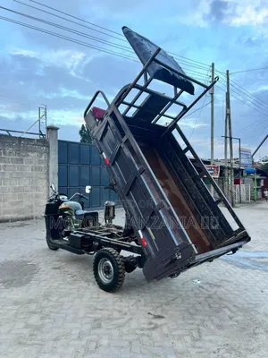 Tricycle 2024 Green