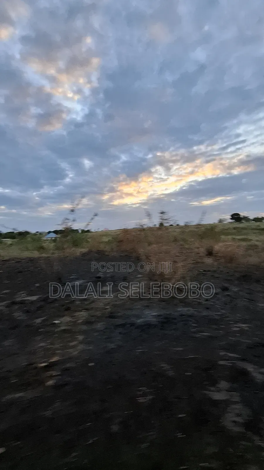 3hector at Vikawe Bagamoyo Mwanzoni