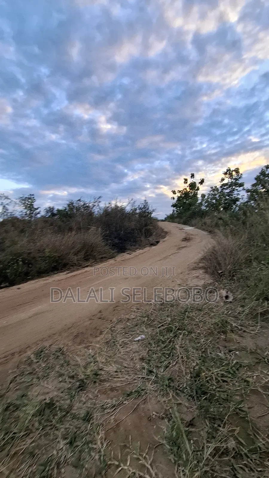 3hector at Vikawe Bagamoyo Mwanzoni