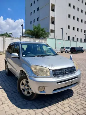 Toyota RAV4 2004 Silver