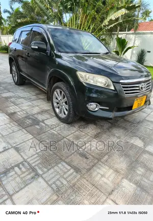 Toyota Vanguard 2010 Green