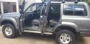 Toyota Land Cruiser 1995 Gray
