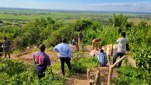 Gold Mining Licensed Mega Farm
