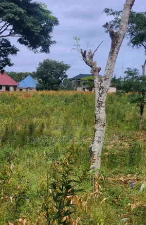 Inteli Bei Kitonga