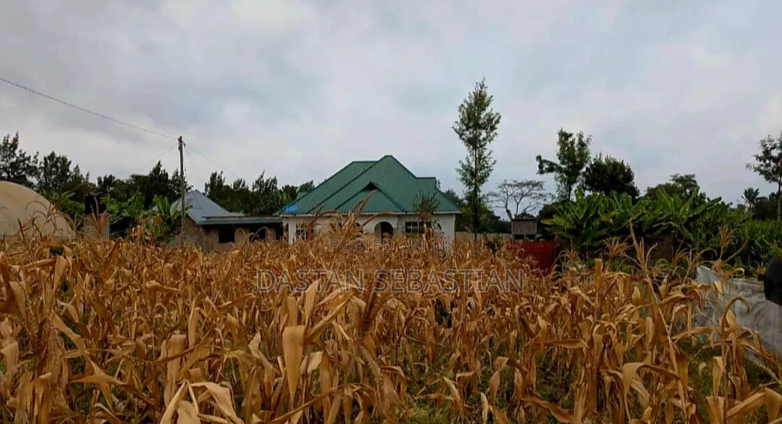 Inteli Bei Kitonga