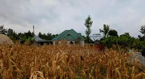 Inteli Bei Kitonga
