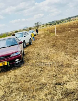 Ngaramtoni , Kisongo, Intelli, Njiro Ndogo