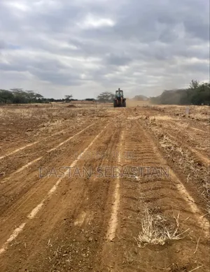 Kisongo Imenoga Bei Imeshuka