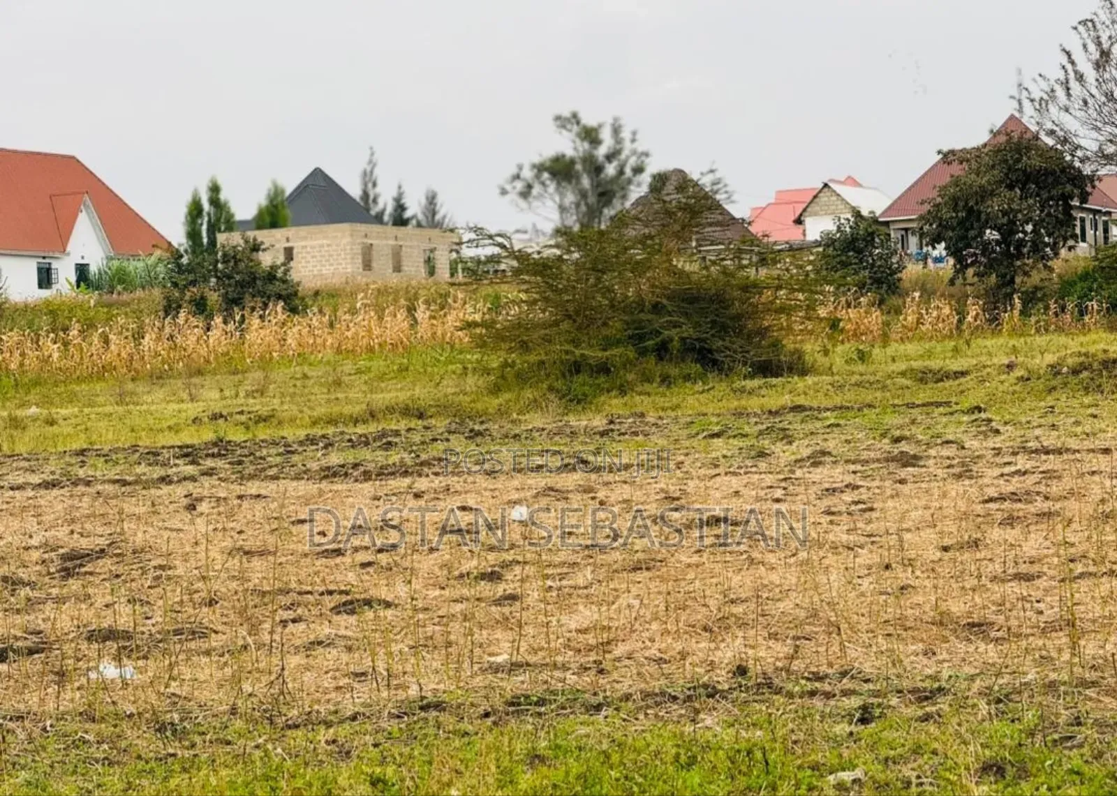 Kisongo Imenoga Bei Imeshuka