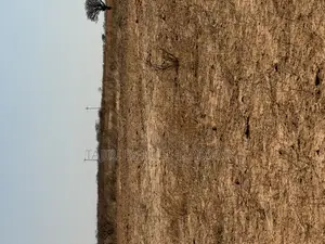 Viwanja Vizuri Vinauzwa Dodoma Mjini Makutupora