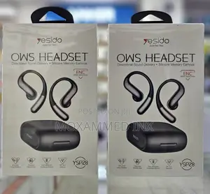 Electronic Noise Reduction Wireless Bluetooth