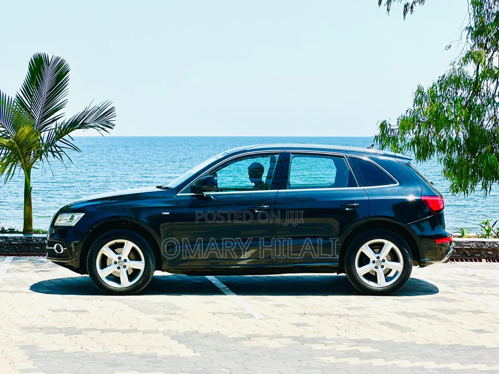 Audi Q5 2013 Black