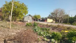 Commercial Plot for Sale at Jambiani Zanzibar