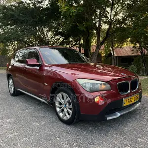 BMW X1 2010 Burgundy