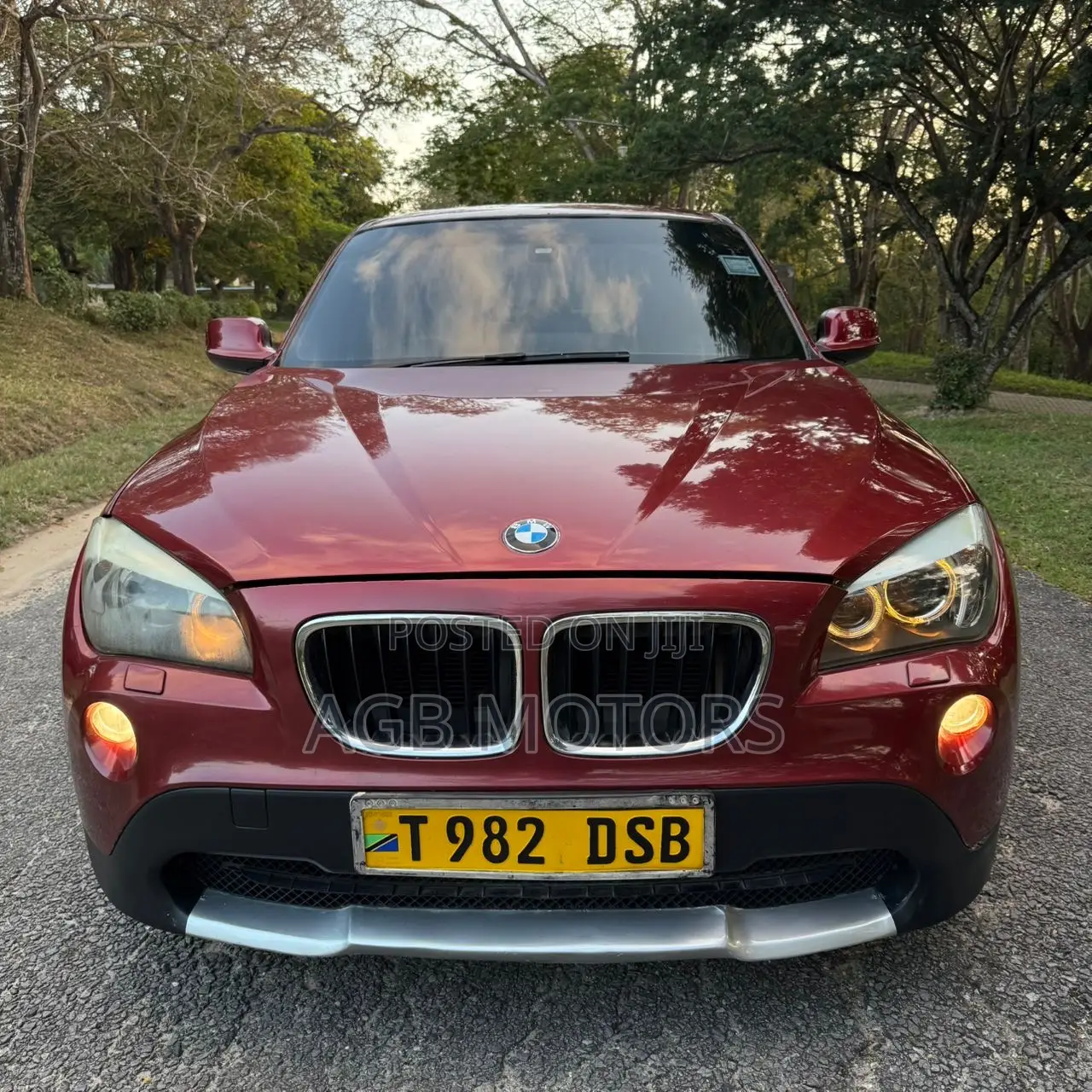 BMW X1 2010 Burgundy