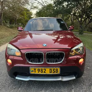 BMW X1 2010 Burgundy