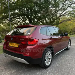 BMW X1 2010 Burgundy