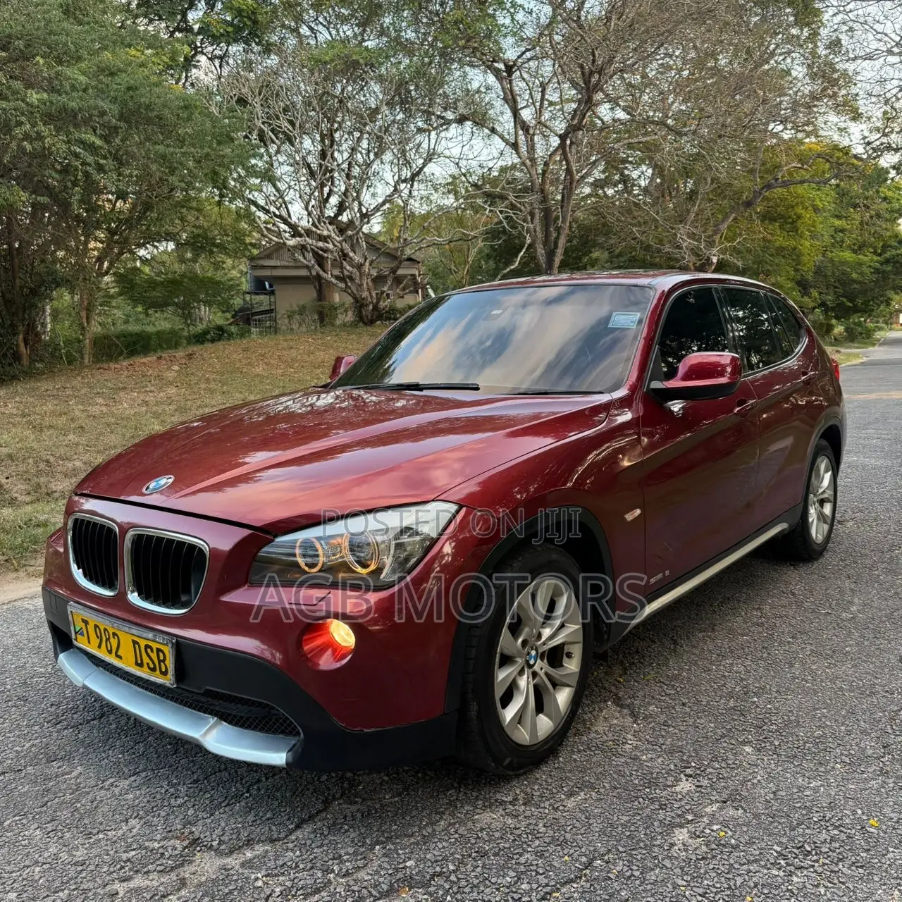 BMW X1 2010 Burgundy