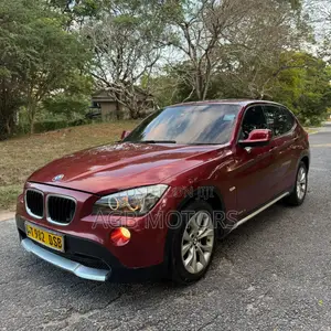 BMW X1 2010 Burgundy