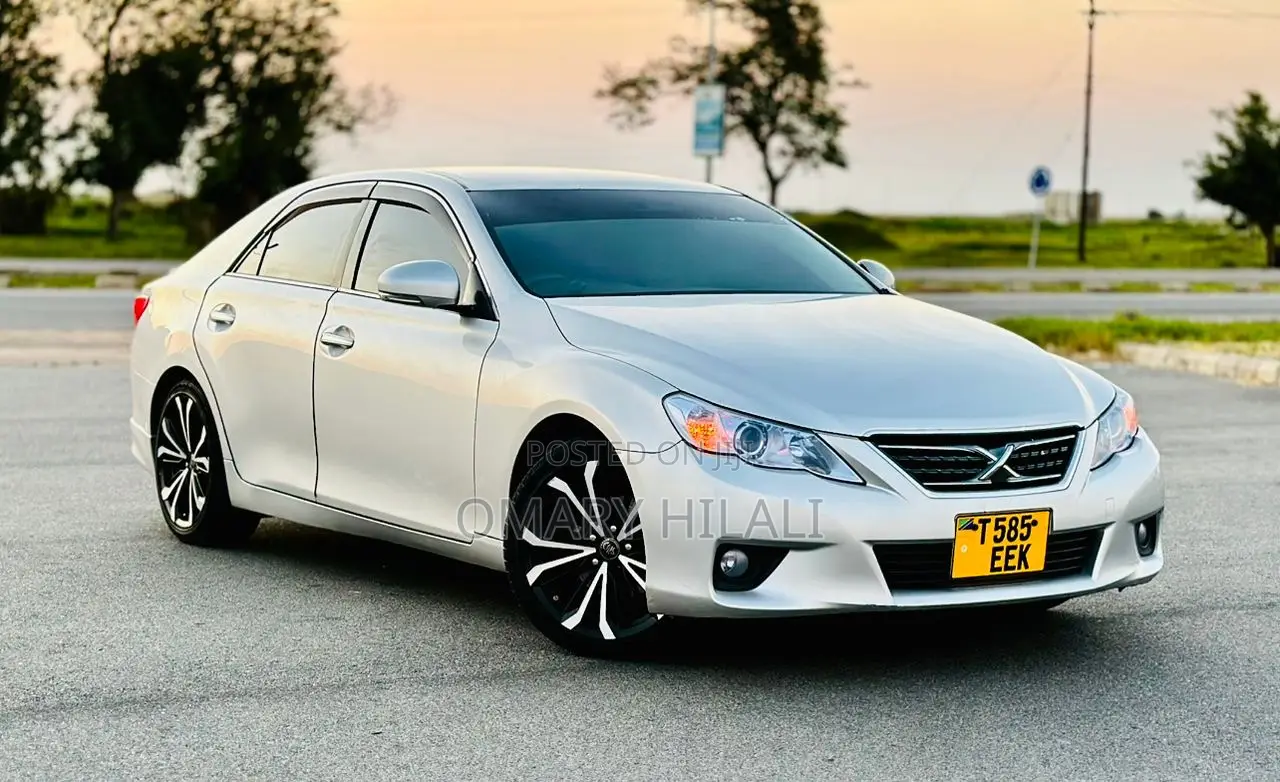 Toyota Mark X 2009 Silver