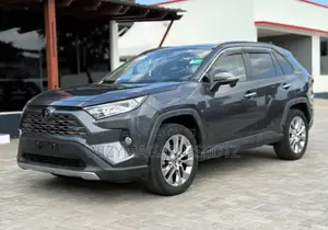 Toyota RAV4 2019 Gray