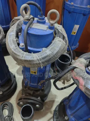 Chimp Sawege Pump 4hp (2.5inch)