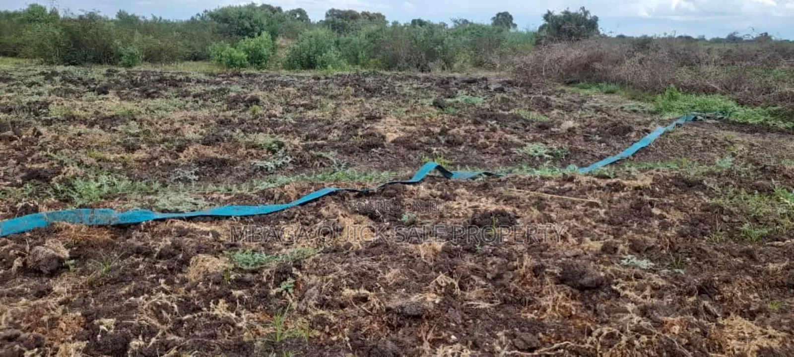 Farm for Sale Along Ruvu River at Vigwaza Coast Region