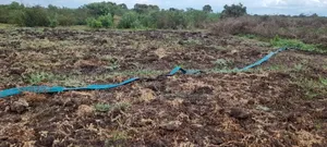 Farm for Sale Along Ruvu River at Vigwaza Coast Region