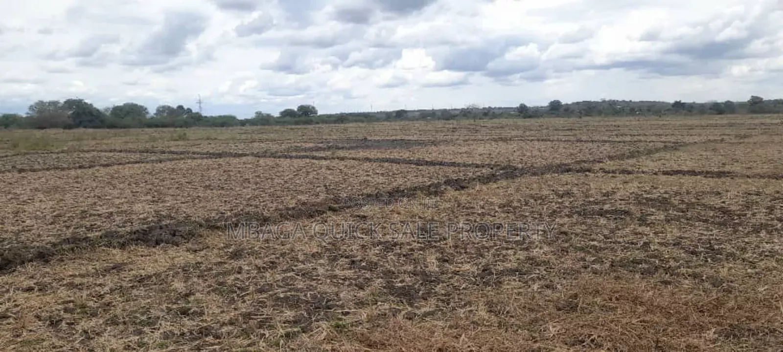 Farm for Sale Along Ruvu River at Vigwaza Coast Region