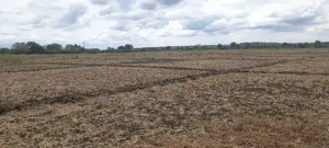 Farm for Sale Along Ruvu River at Vigwaza Coast Region