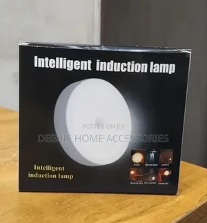 Intelligent Induction Lamp
