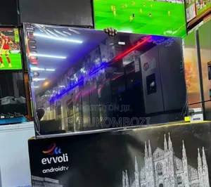 Evvol Smart 55 Inches