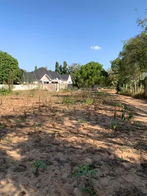 Plot for Sale Mbopo Dar Es Salaam