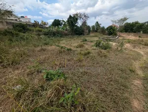 Plot for Sale at Salasala SQM